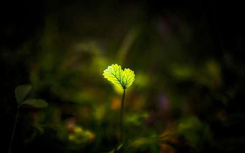 1527337772688509.jpg 112.jpg