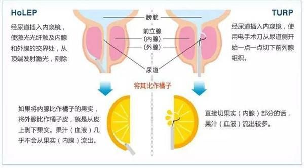 微信图片_20180929140652.jpg