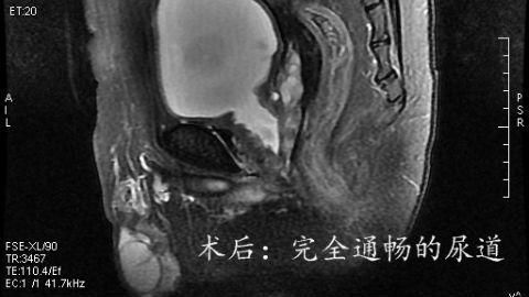 微信图片_20180929140701.jpg