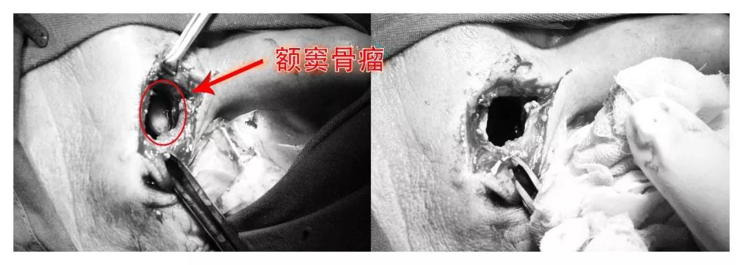 微信图片_20181025162355.jpg