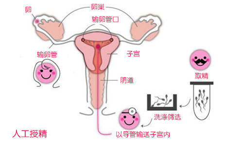 微信图片_20190228150117.jpg